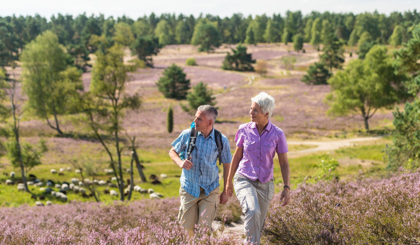 Hiking, © Lüneburger Heide GmbH / Dominik Ketz