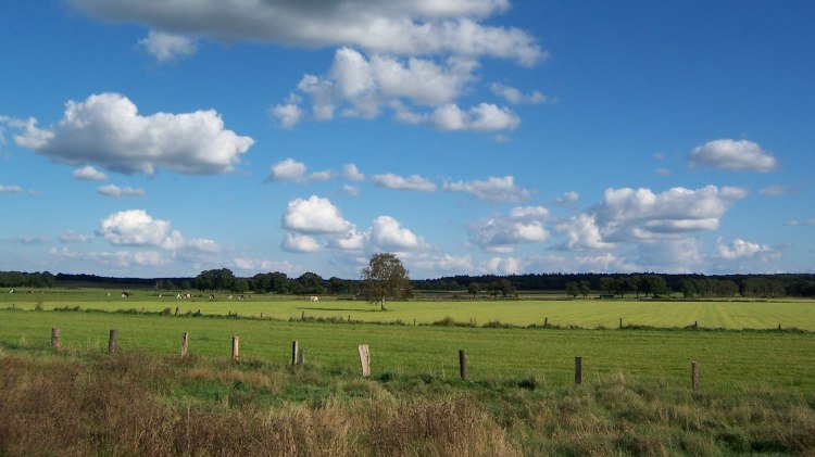 Wümme, © Touristikverband Landkreis Rotenburg zwischen Heide und Nordsee e.V./ P. Welz