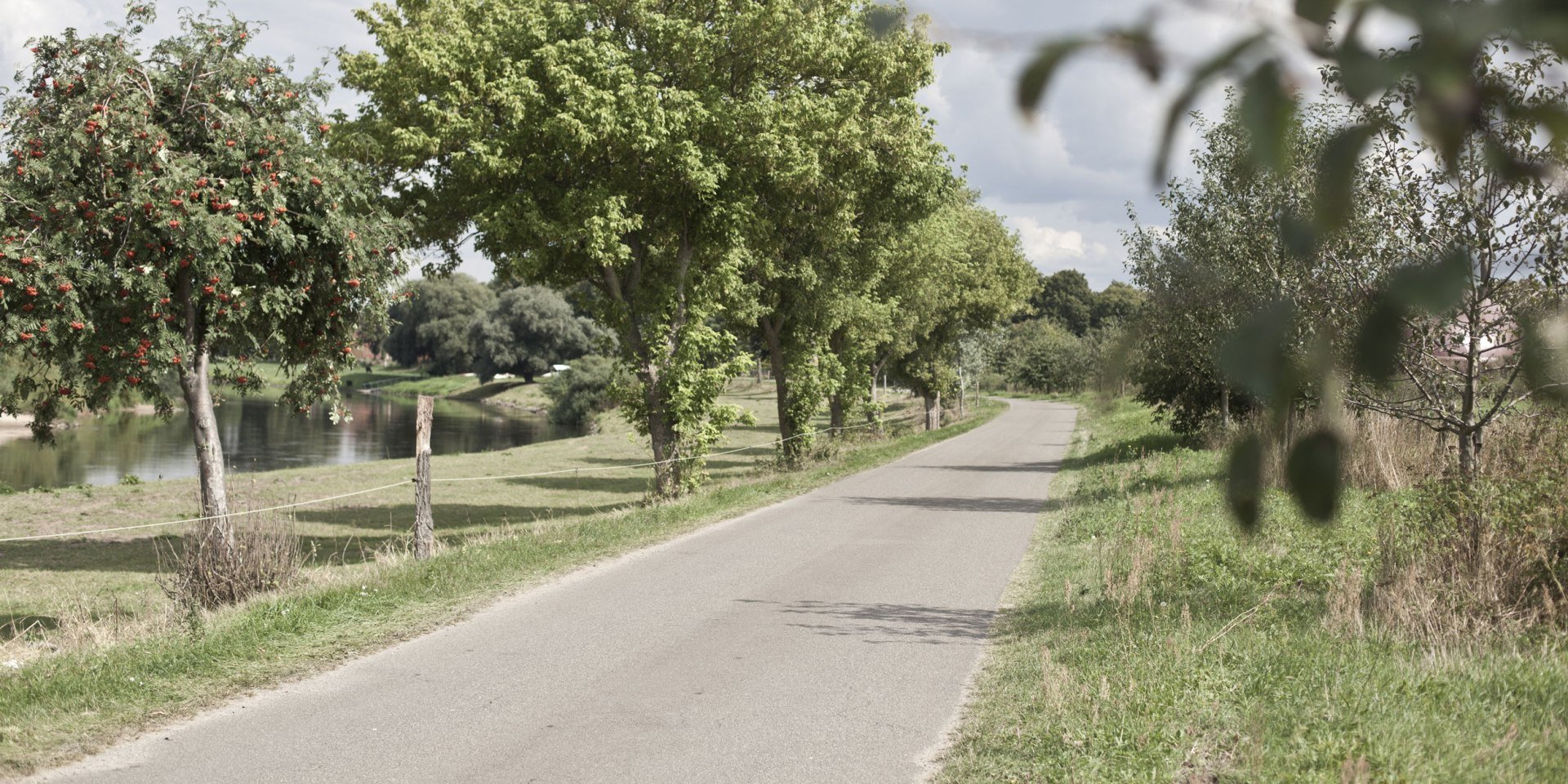 Aller-Radweg bei Bosse, © Tourismusregion Aller-Leine-Tal / Mirko Krenzel