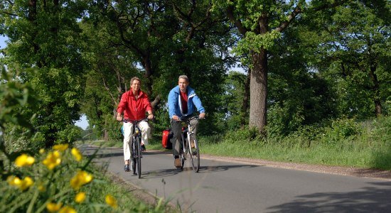 Cyling on the avenue, © Ammerland-Touristik / Tobias Trapp