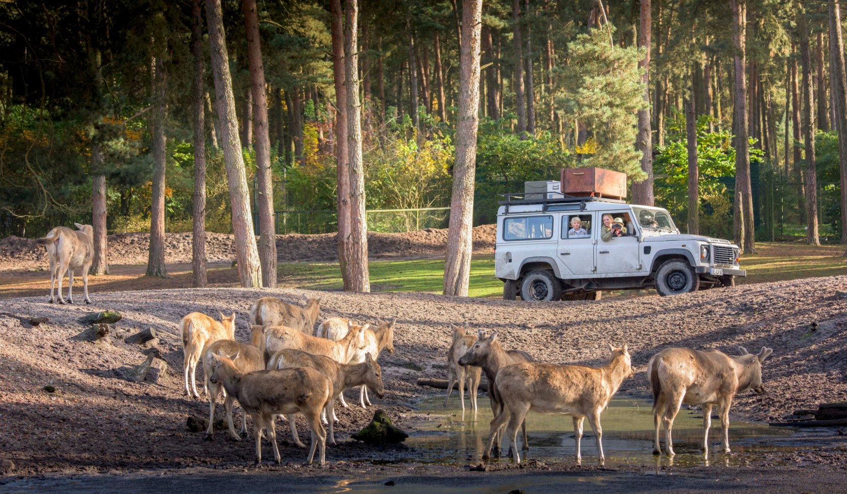 Safari, © Serengeti Park Hodenhagen