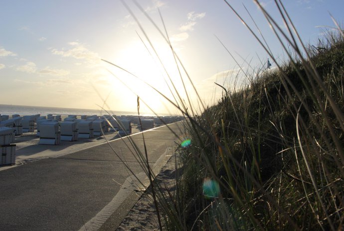 Dune grass at sunrise, © Kurverwaltung Wangerooge