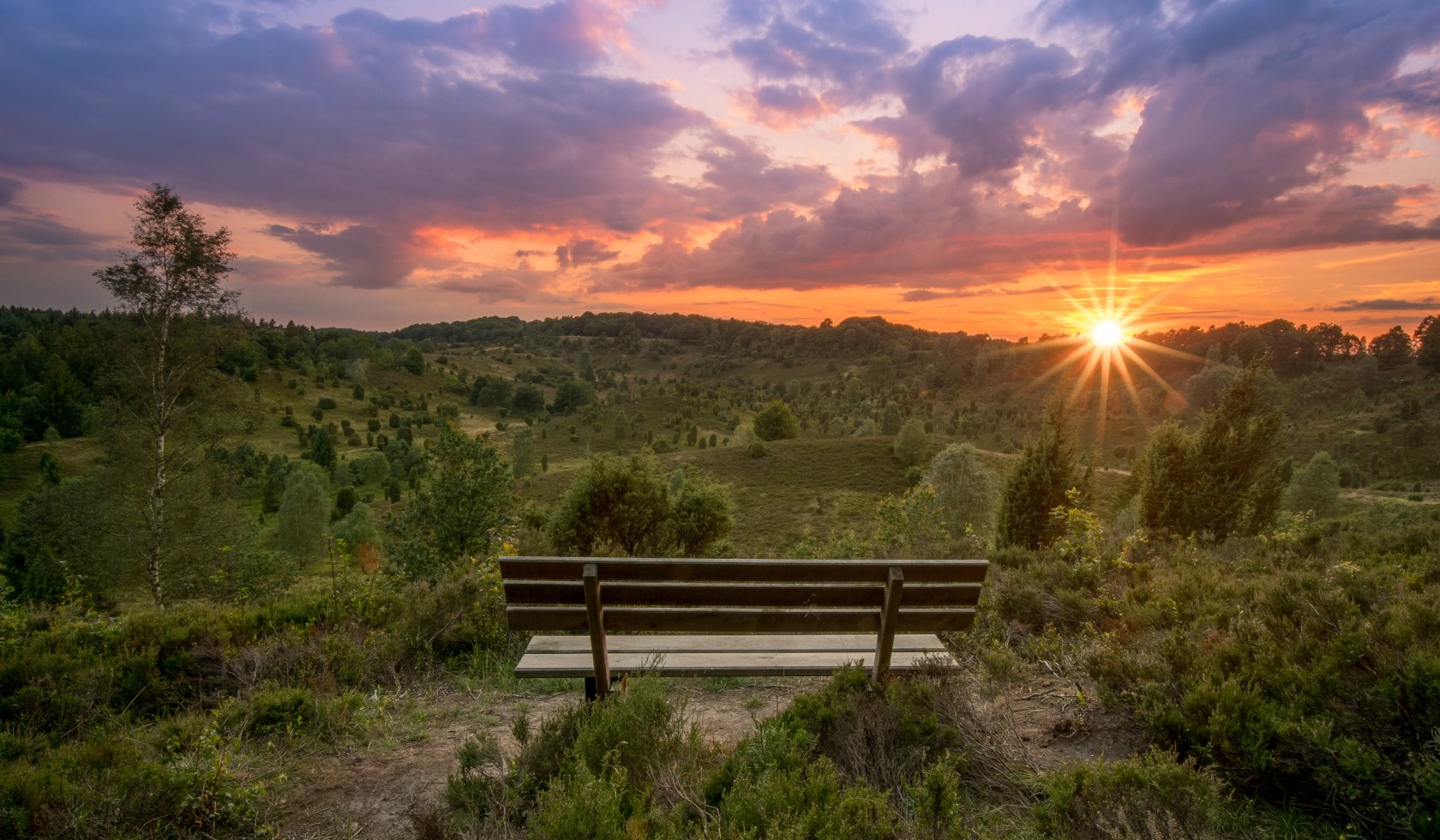 View of Totengrund at sunset in the Lüneburger Heide , © TMN/Alexander Kaßner