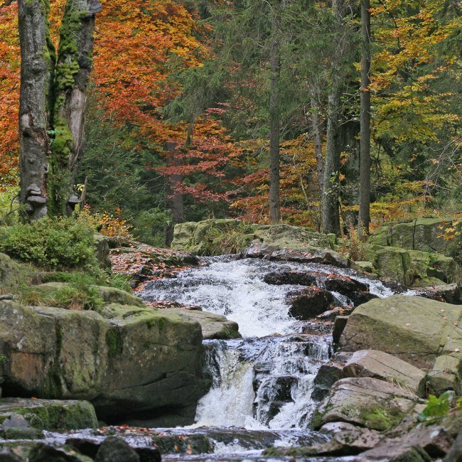 The Bode river near Braunlage, © Nationalpark Harz / Siegfried Richter