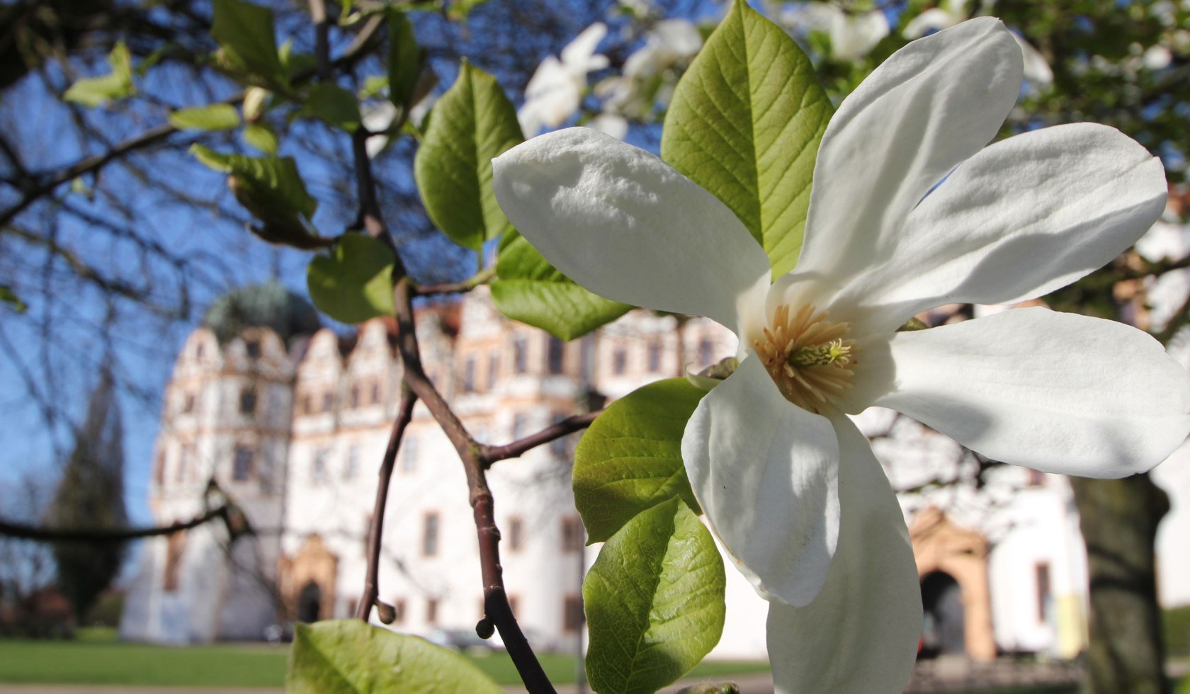 Celle Castle, © Celle Tourismus und Marketing GmbH	/ K. Behre