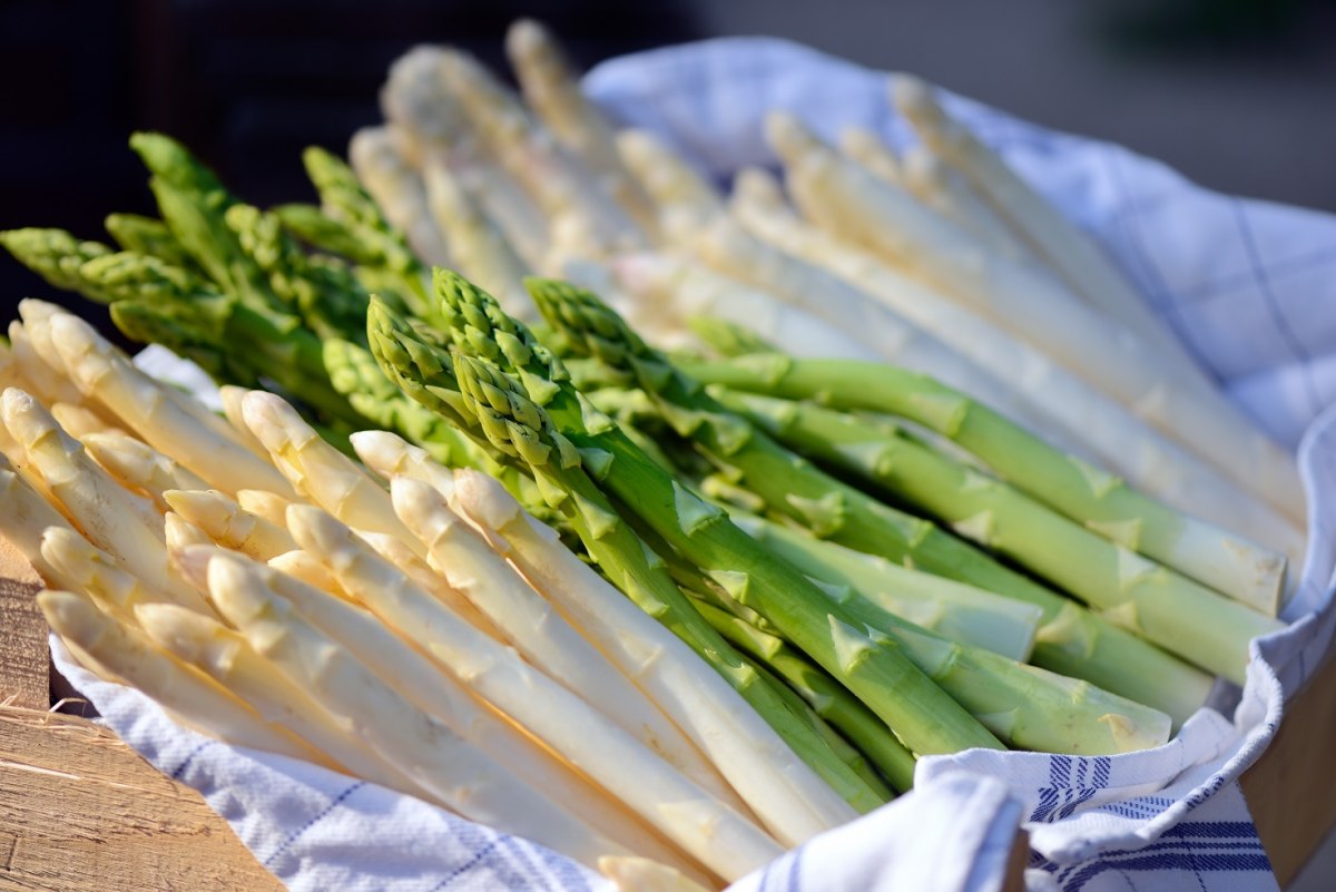 asparagus, © TMN/Francesco Carovillano