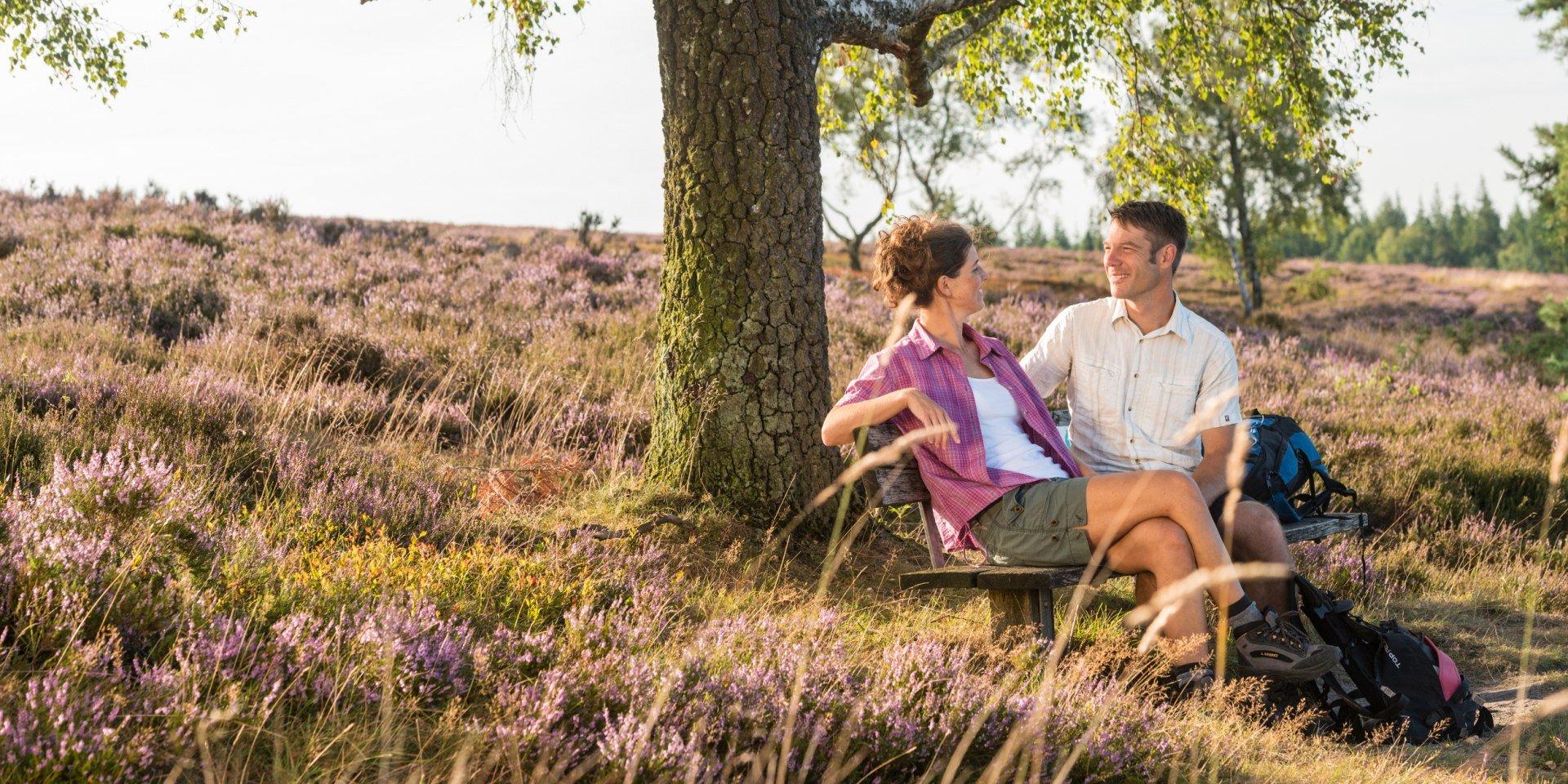 Hiking break at the Brunsberg, © Lüneburger Heide GmbH / Dominik Ketz