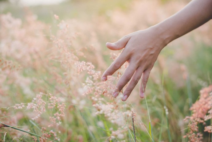 Hand touches grass in the field, © Fotolia.com /jcomp