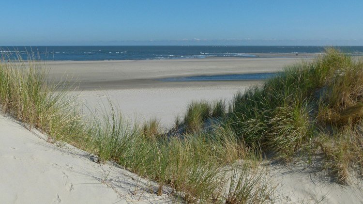 Dunes on Baltrum, © Ostfriesland Tourismus GmbH / www.ostfriesland.de Dunes on Baltrum, © Ostfriesland Tourismus GmbH / www.ostfriesland.de