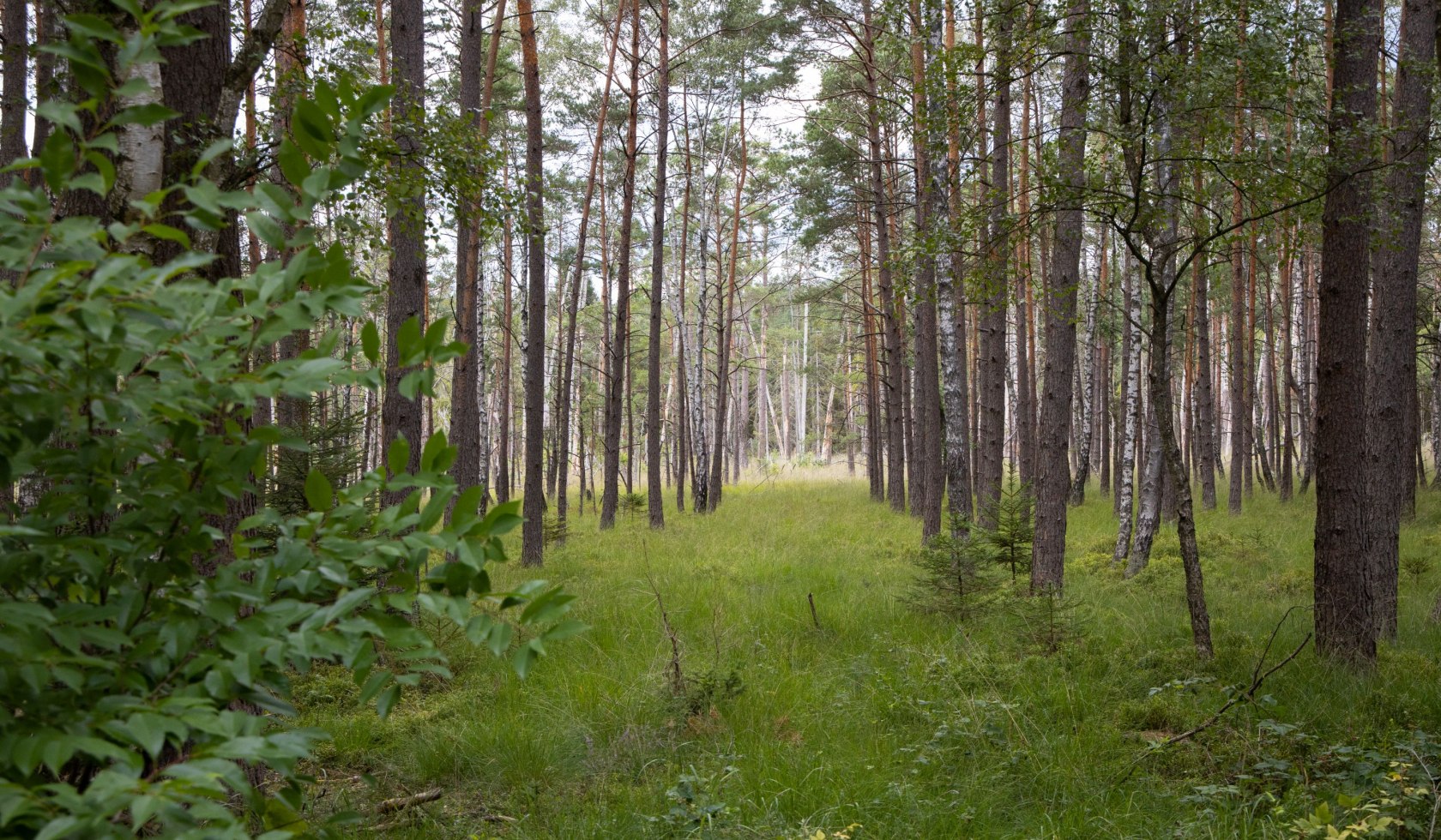 kutschfahrt_traumzeithof-wasserwelten_ccbysa_tl_20190808_53_1, © Lüneburger Heide GmbH