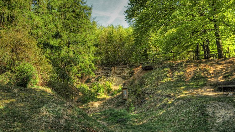 View into the Markmorgen adventure quarry with early evening lighting, © NP Elm-Lappwald / Jürgen Kattenstroth