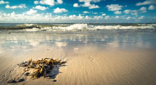 Greetings from the sea - Langeoog, © Tourismus-Service Langeoog/ Andreas Falk