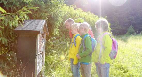 Hiking Harz, © Stadtmarketing Bad Harzburg