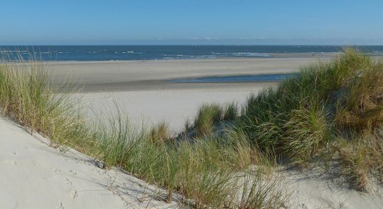 Dunes on Baltrum, © Ostfriesland Tourismus GmbH / www.ostfriesland.de
