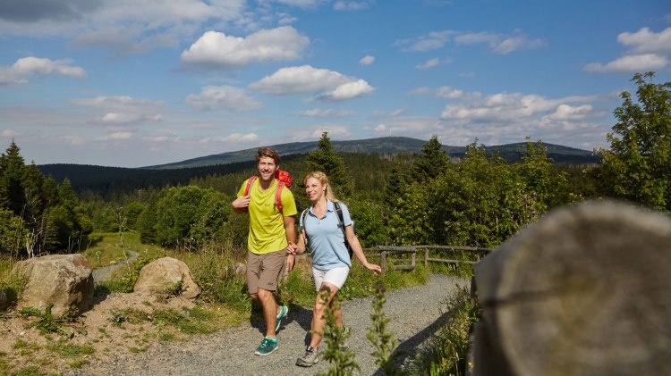 Hikers around Torfhaus in the Harz Mountains, © Harzer Tourismusverband/ M. Gloger