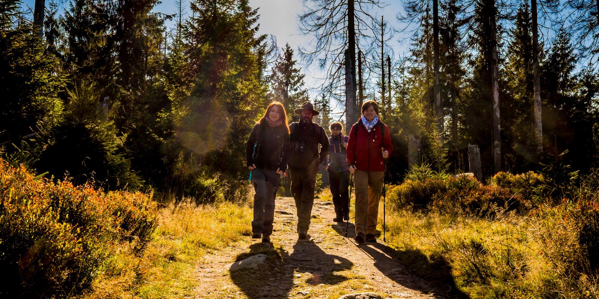 Ranger guided tour, © Nationalpark Harz / dietrichkuehne.com