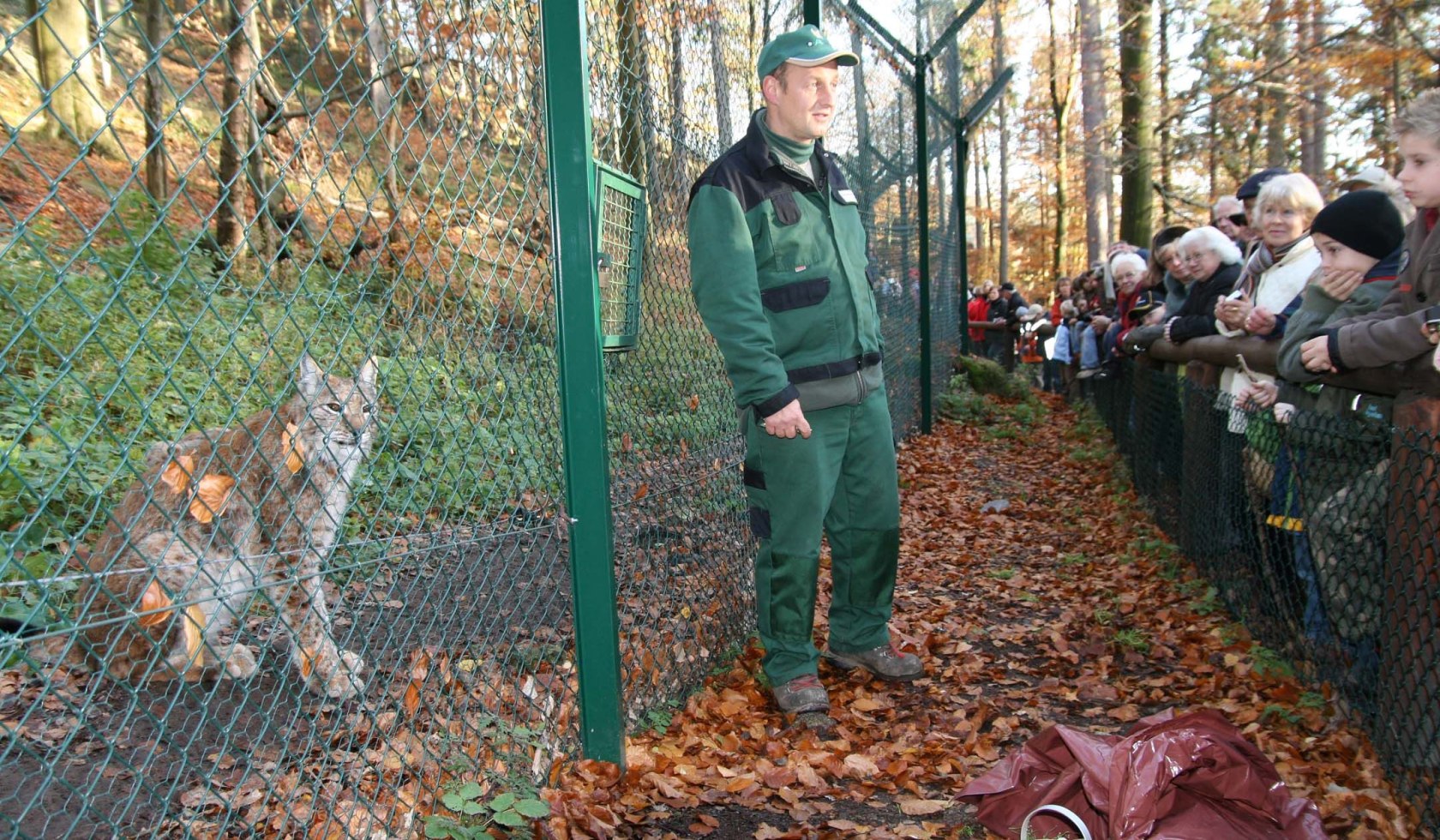 Luchsgehege Fütterung, © Ole Anders