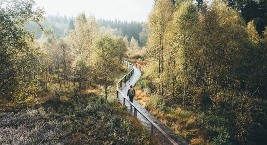 Hiker in the Solling Vogler Nature Park, © TourismusMarketing Niedersachsen GmbH / German Roamers / Johannes Becker