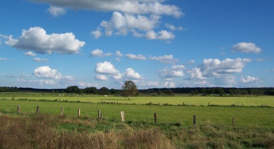 Wümme, © Touristikverband Landkreis Rotenburg zwischen Heide und Nordsee e.V./ P. Welz