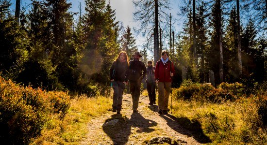 Ranger guided tour, © Nationalpark Harz / dietrichkuehne.com