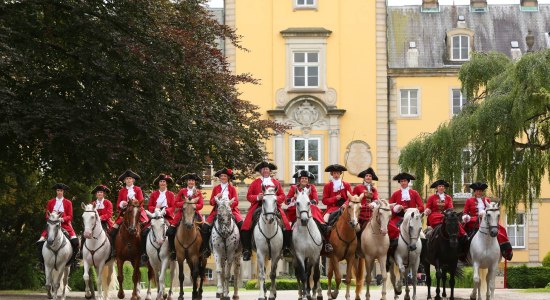 Princely Riding School Bückeburg, © Fürstliche Hofreitschule