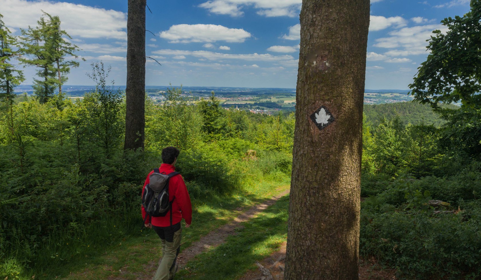 Ahornweg, © Natur- und Geopark TERRA.vita