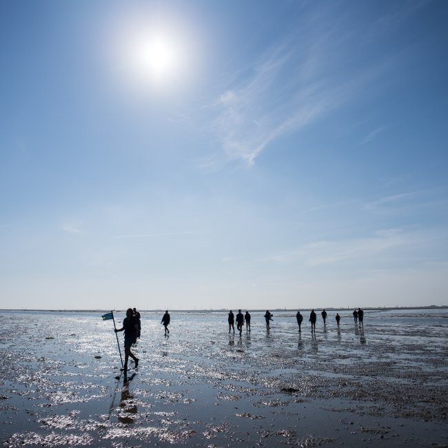 Guided tour of the mudflats near Harlesiel, © TourismusMarketing Niedersachsen GmbH