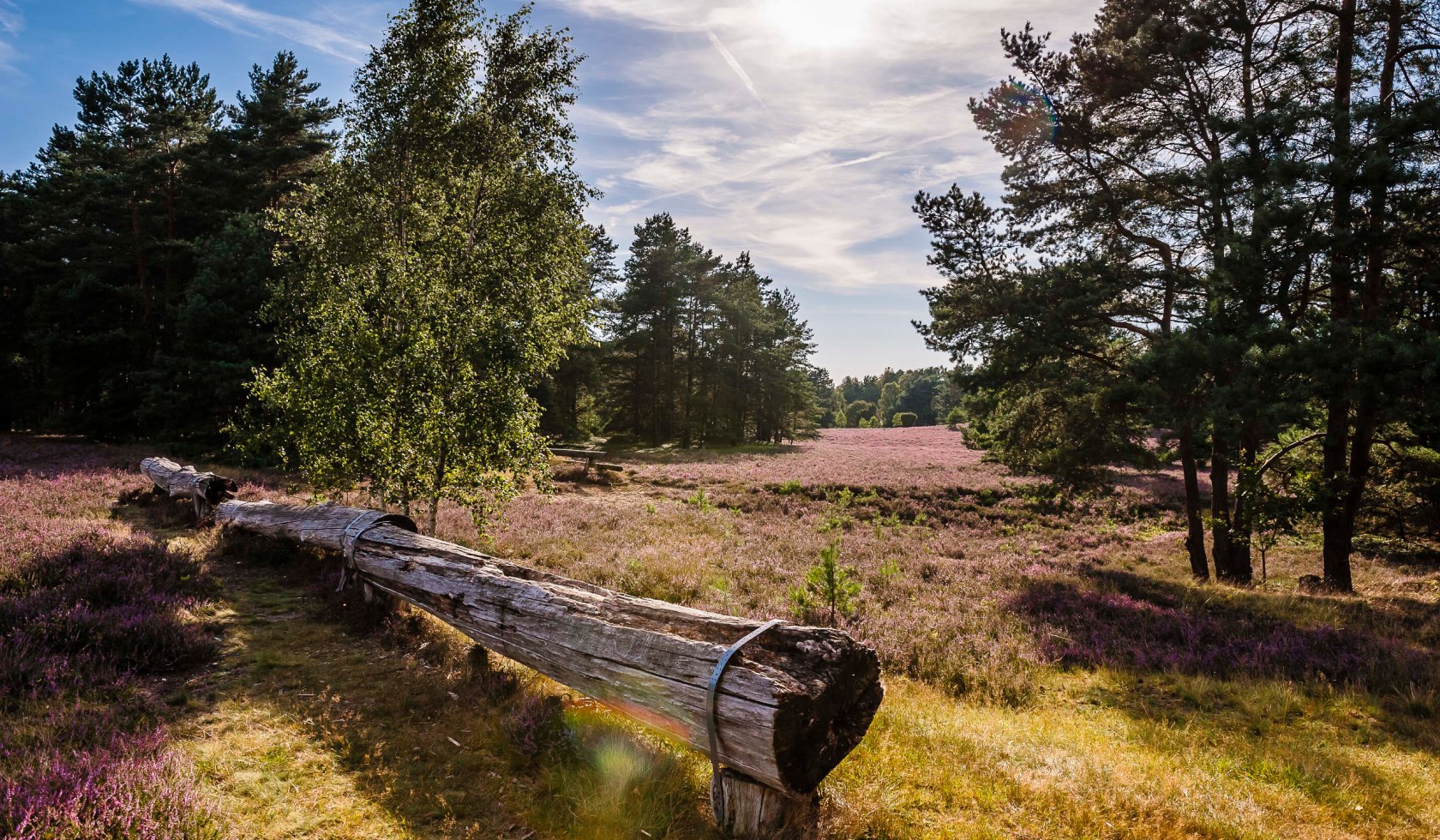 Heidschnuckenweg in the Misselhorner Heide, © Lüneburger Heide GmbH / Markus Tiemann