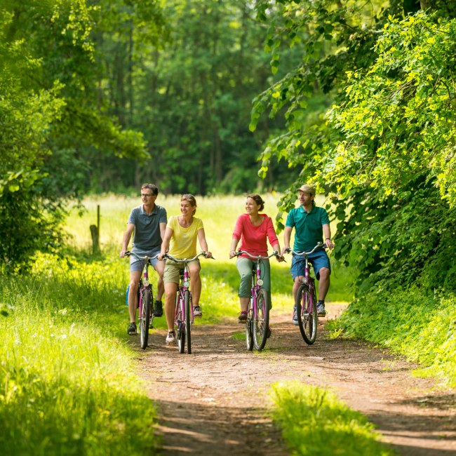 View of four cyclists in the Uelzen heathland region, © Lüneburger Heide GmbH/ Dominik Ketz