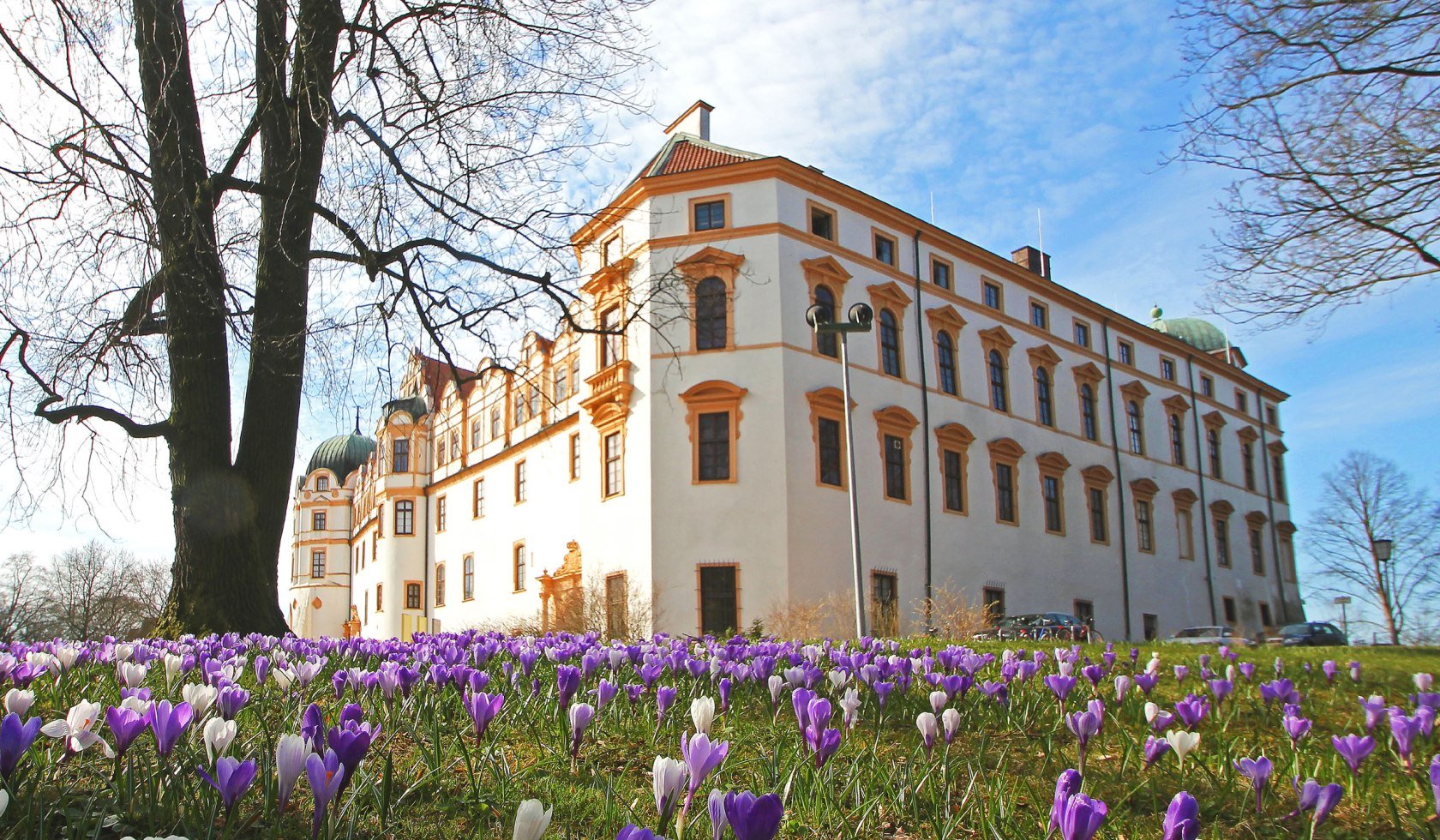 Schloss in Celle mit Krokussen, © Celle Tourismus und Marketing GmbH/ K. Behre