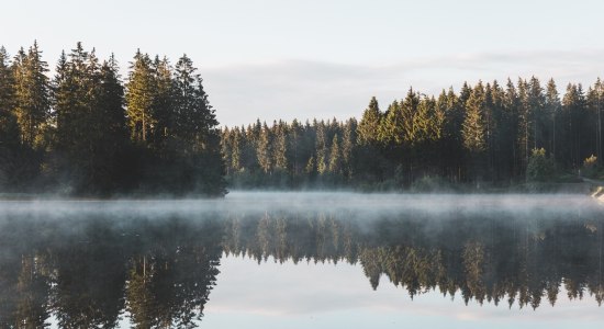 Harz, © Benedict Braun