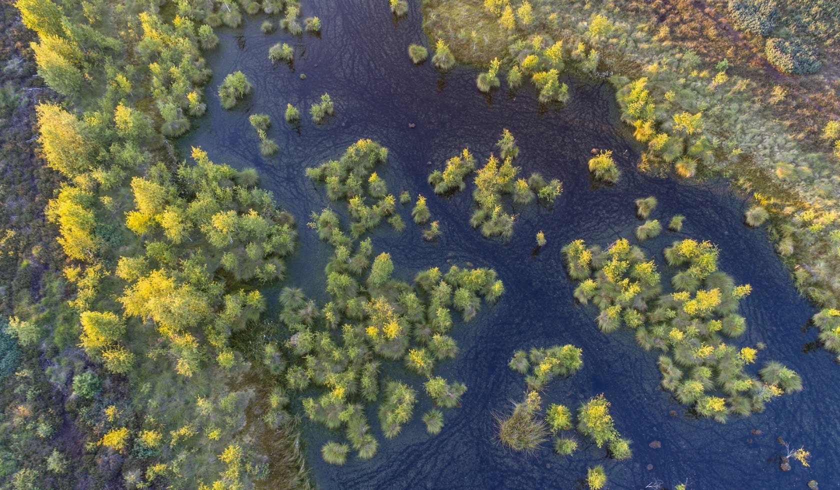 Aerial view of Neustädter Moor near Wagenfeldwith trees and water, © TourismusMarketing Niedersachsen GmbH / Willi Rolfes