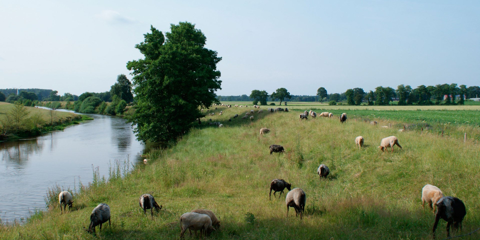 Hunte, © Jörg Guhn