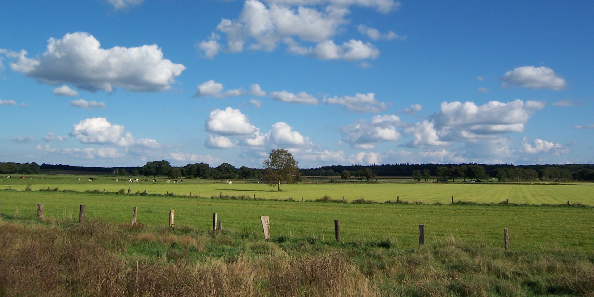 Wümme, © Touristikverband Landkreis Rotenburg zwischen Heide und Nordsee e.V./ P. Welz