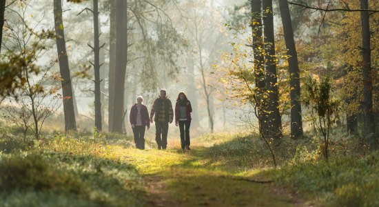 Autumn Hike in Tiefental EN, © Lüneburger Heide GmbH/ Dominik Ketz