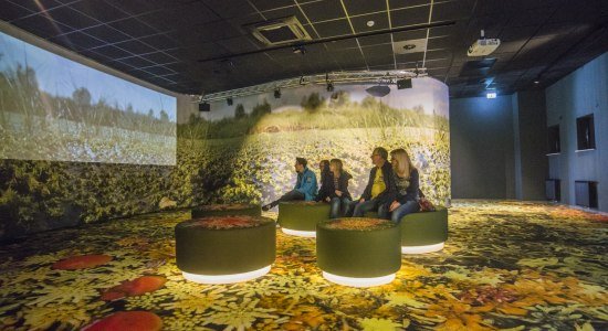 © MOORWELTEN Europäisches Fachzentrum Moor und Klima GmbH