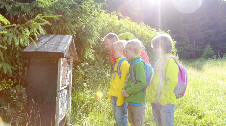 Hiking Harz, © Stadtmarketing Bad Harzburg