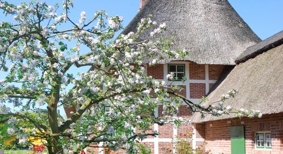 Thatched house in Cuxland, © Cuxland-Tourismus / Bernd Schlüsselburg