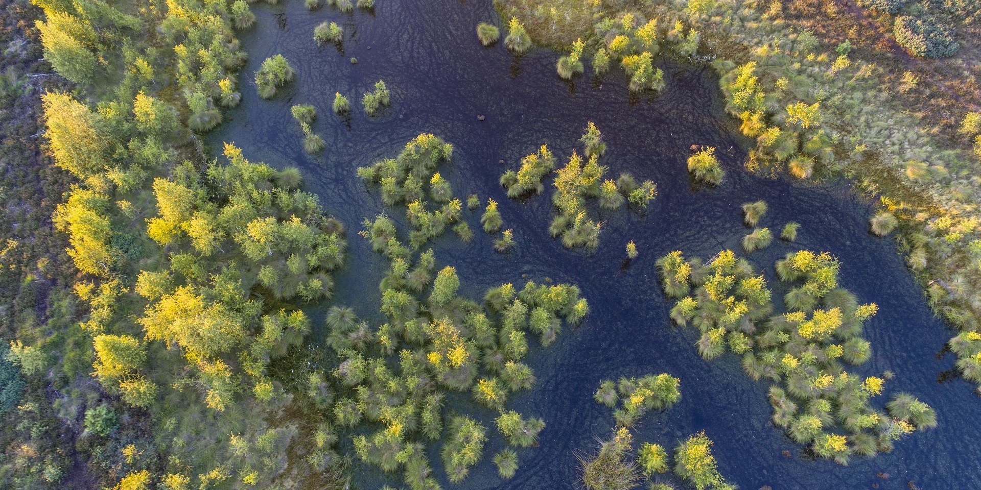 Aerial view of Neustädter Moor near Wagenfeldwith trees and water, © TourismusMarketing Niedersachsen GmbH / Willi Rolfes