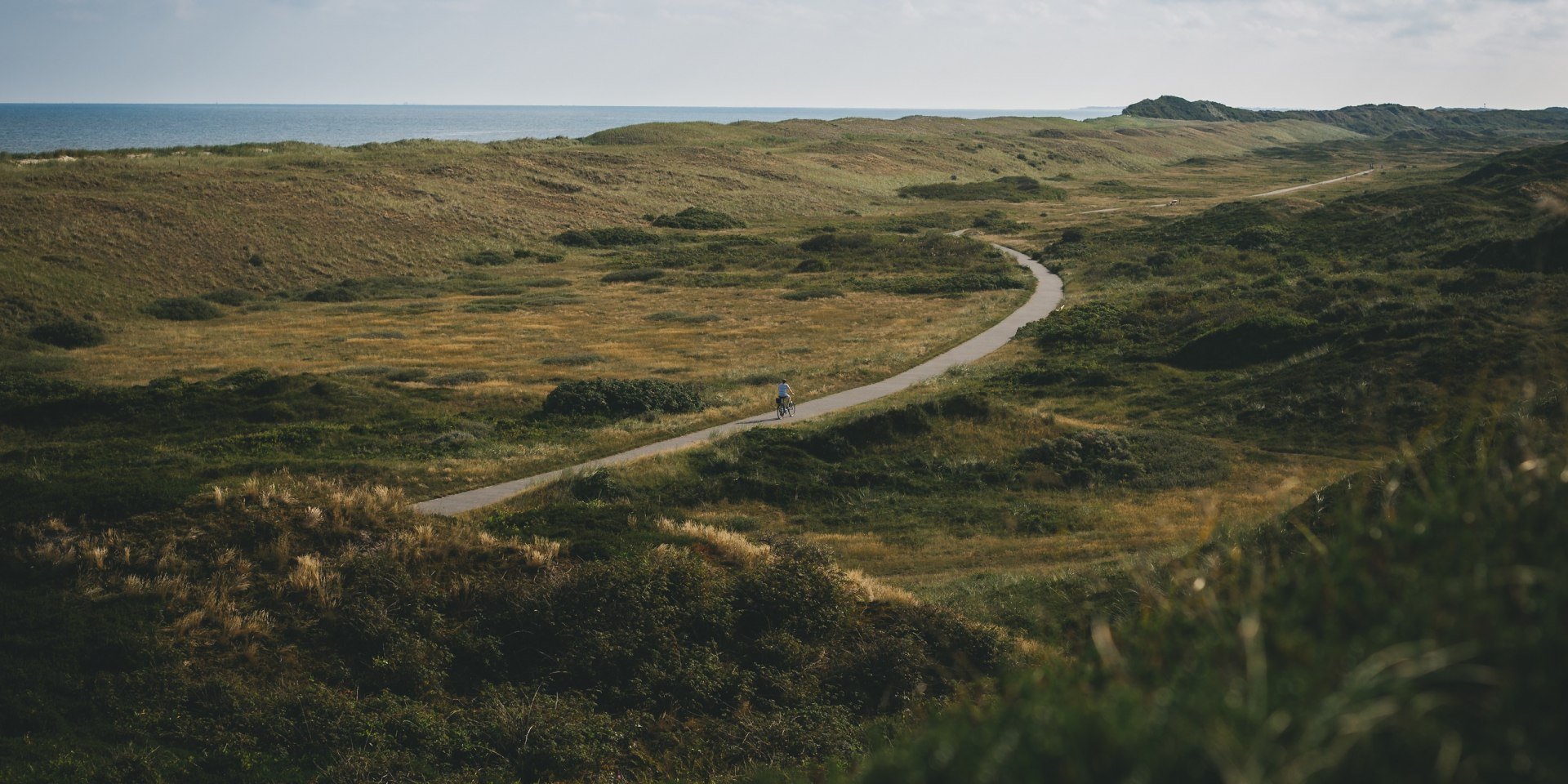 Bicycle path on Langeoog, © TMN/ Max Fischer