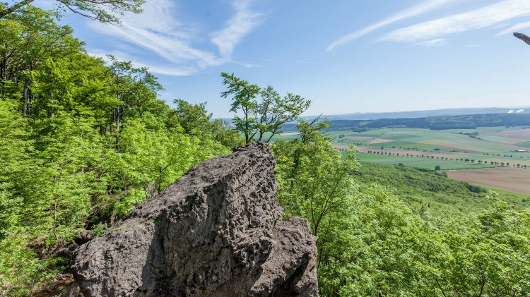 Ausblick Ith Hils Weg, © Tourismuszentrale östliches Weserbergland