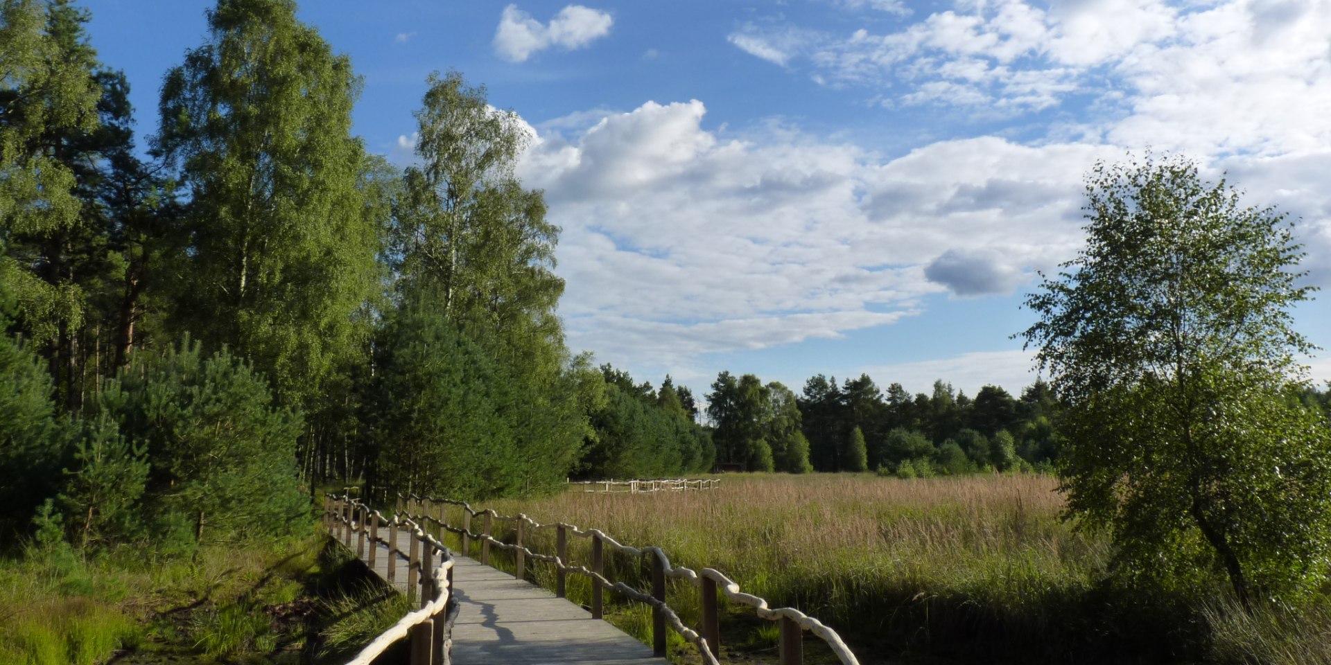 NORDPFAD Dör`t Moor