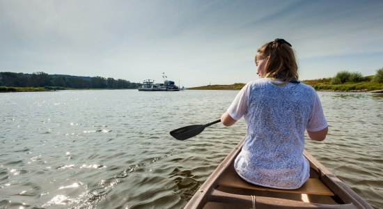 Woman paddling on the Elbe, © Kurs Elbe / Markus Tiemann