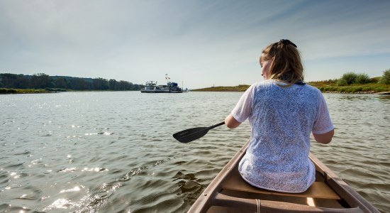 Woman paddling on the Elbe, © Kurs Elbe / Markus Tiemann
