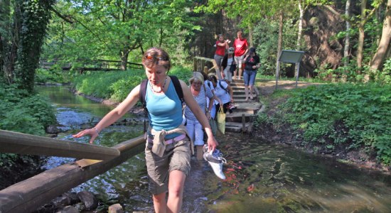 Ford on the barefoot path, © Kurverwaltung Bad Bodenteich/ Jürgen Clauß