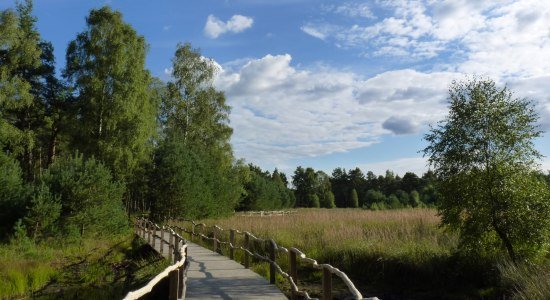 NORDPFAD Dör`t Moor