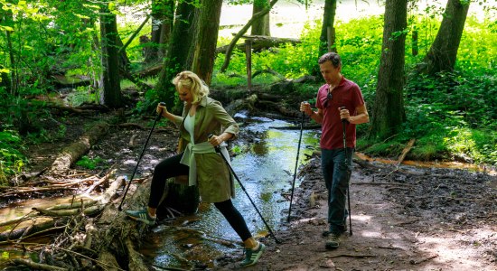 Couple Nordic walking in the Oldenburg Münsterland region, © malopo