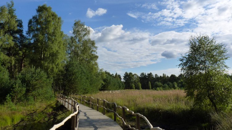 NORDPFAD Dör`t Moor