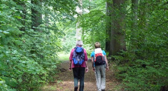 Kuhmühler forest, © Touristikverband Landkreis Rotenburg (Wümme)  e.V./ Udo Fischer/ Petra Welz