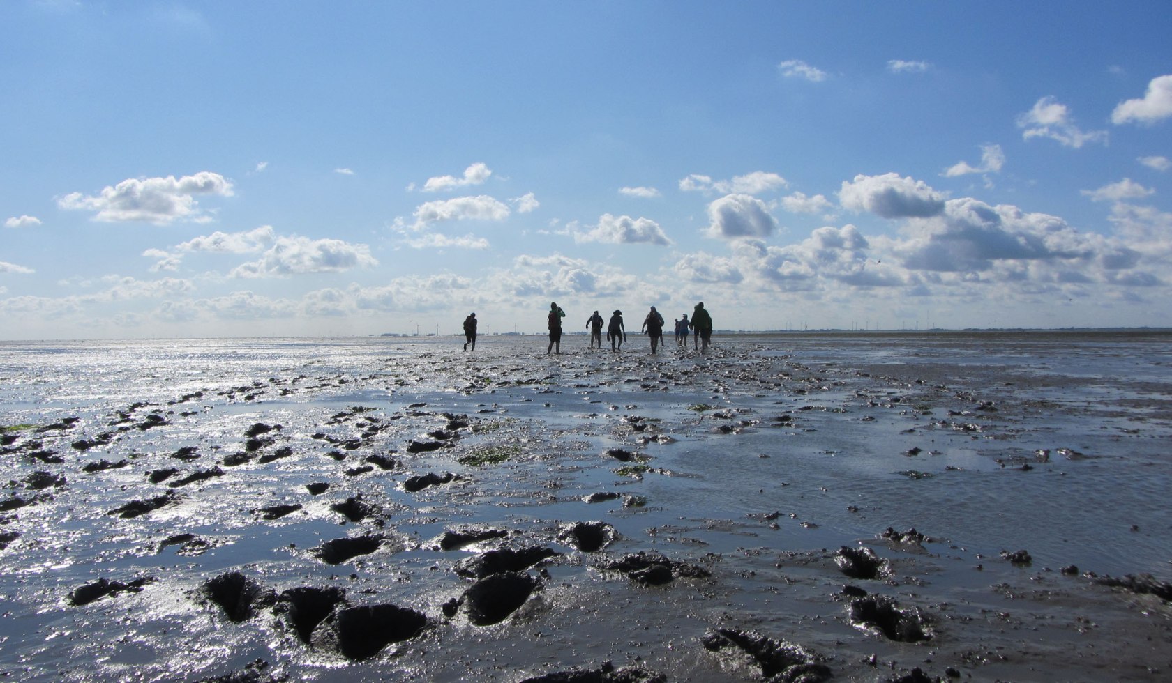 Wadden Sea, © Naturerlebnis Langeoog / Joke Pouliart